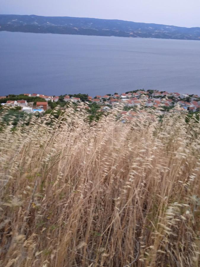 Apartments Suco Celina Luaran gambar